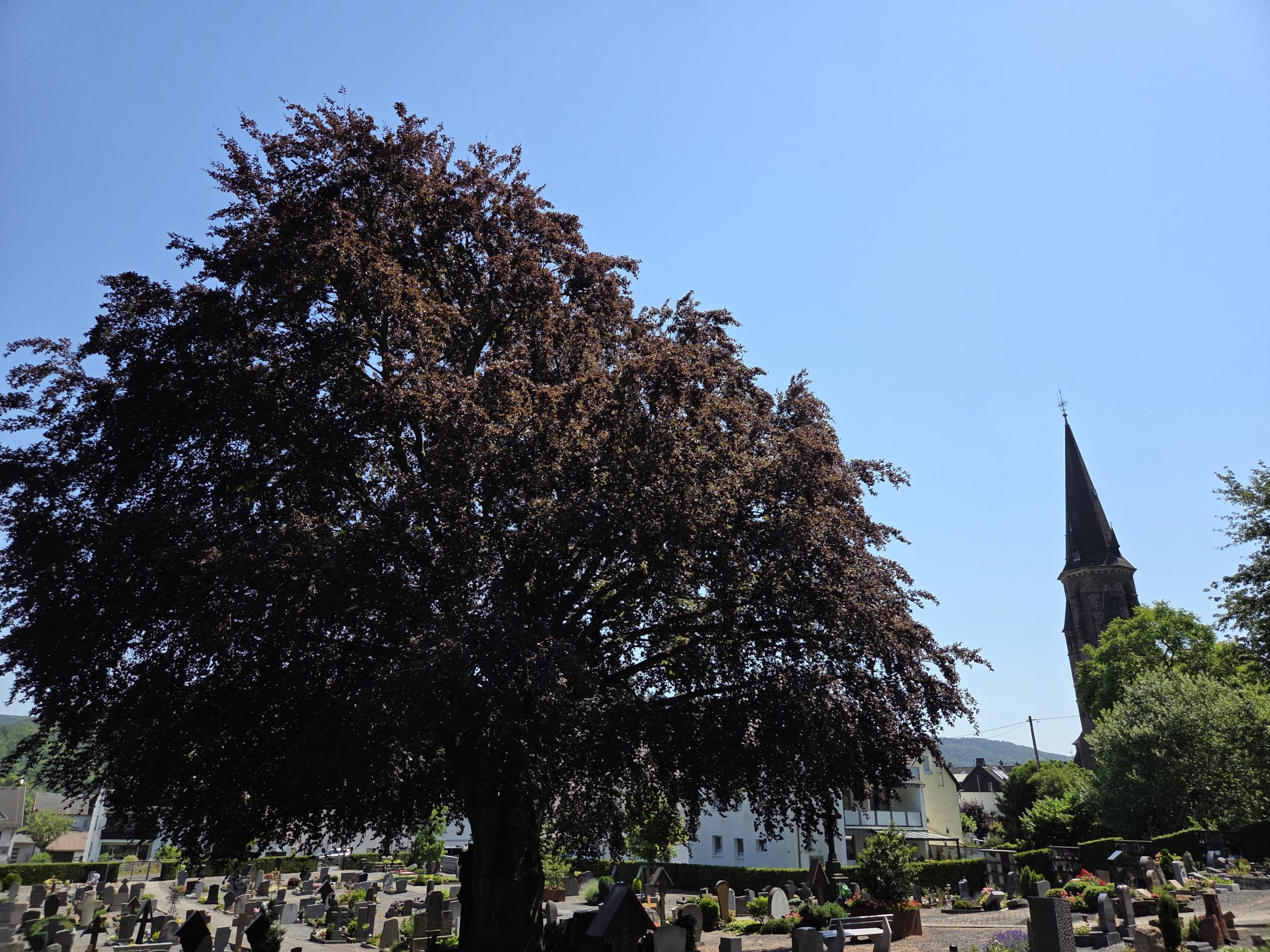Friedhof Brohl